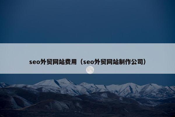 seo外贸网站费用（seo外贸网站制作公司）