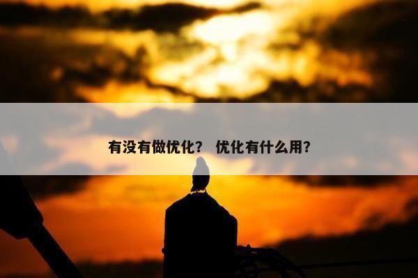 有没有做优化？ 优化有什么用？