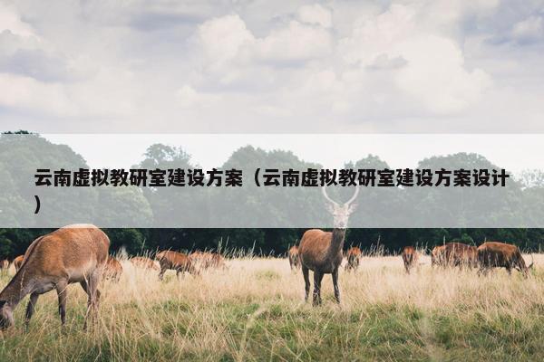 云南虚拟教研室建设方案（云南虚拟教研室建设方案设计）