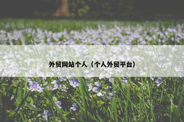 外贸网站个人（个人外贸平台）