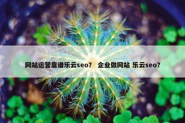 网站运营靠谱乐云seo？ 企业做网站 乐云seo？