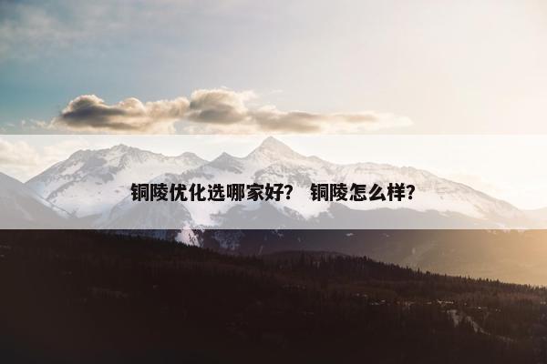 铜陵优化选哪家好？ 铜陵怎么样？