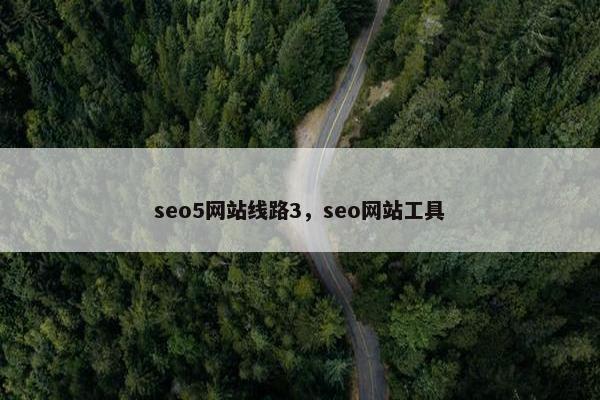 seo5网站线路3，seo网站工具