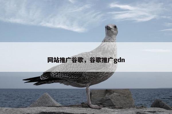 网站推广谷歌，谷歌推广gdn