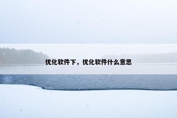 优化软件下，优化软件什么意思