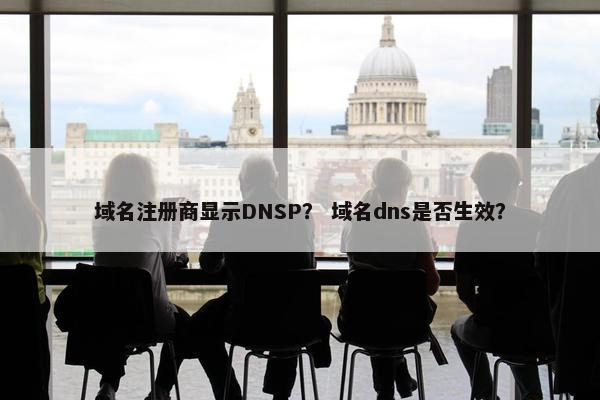 域名注册商显示DNSP？ 域名dns是否生效？