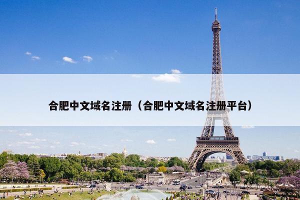 合肥中文域名注册（合肥中文域名注册平台）