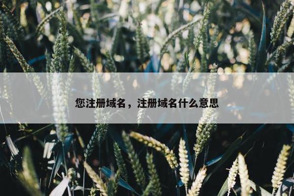 您注册域名，注册域名什么意思
