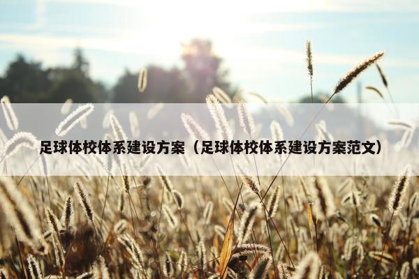 足球体校体系建设方案（足球体校体系建设方案范文）