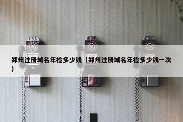 郑州注册域名年检多少钱（郑州注册域名年检多少钱一次）