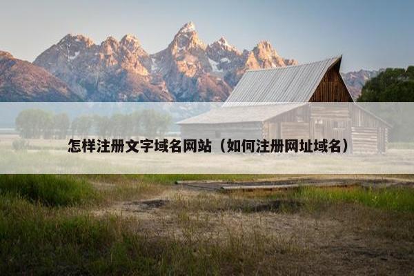 怎样注册文字域名网站（如何注册网址域名）