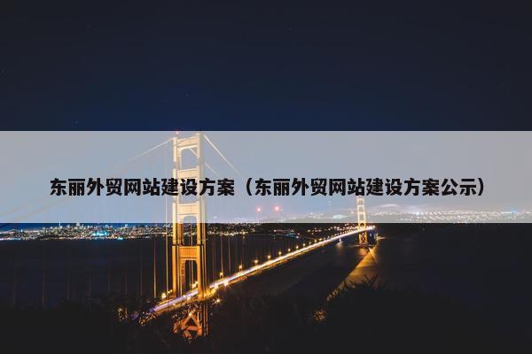 东丽外贸网站建设方案（东丽外贸网站建设方案公示）