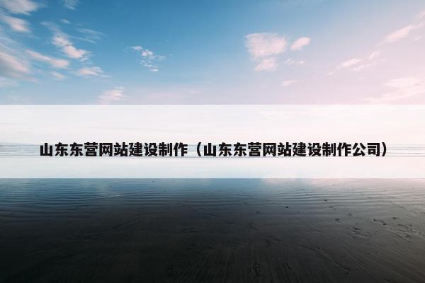 山东东营网站建设制作（山东东营网站建设制作公司）