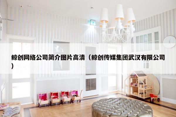 鲸创网络公司简介图片高清（鲸创传媒集团武汉有限公司）