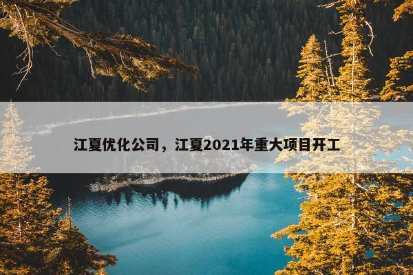 江夏优化公司，江夏2021年重大项目开工