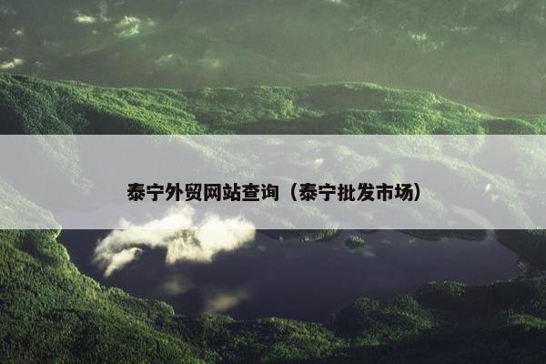 泰宁外贸网站查询（泰宁批发市场）