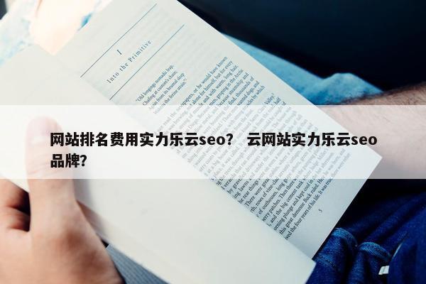 网站排名费用实力乐云seo？ 云网站实力乐云seo品牌？