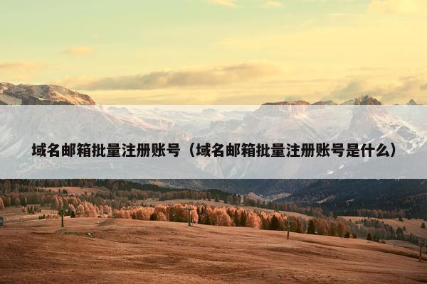 域名邮箱批量注册账号（域名邮箱批量注册账号是什么）