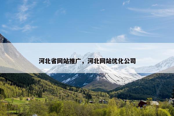 河北省网站推广，河北网站优化公司