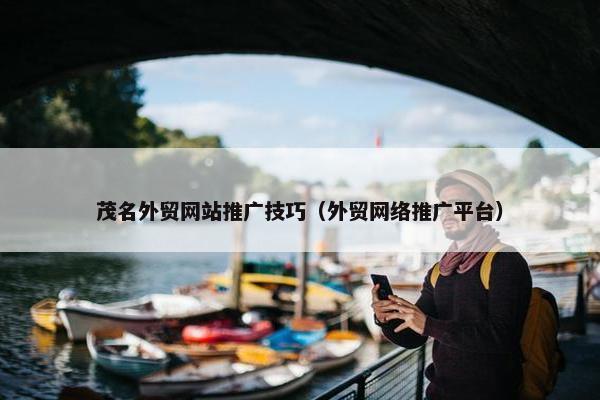 茂名外贸网站推广技巧（外贸网络推广平台）