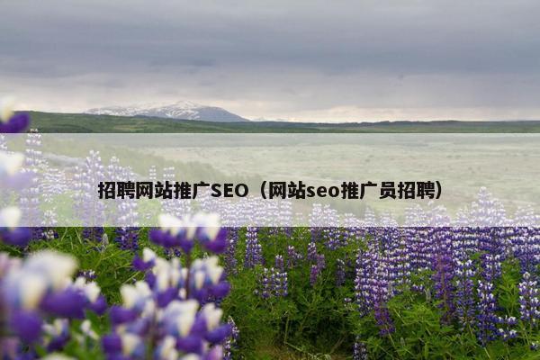 招聘网站推广SEO（网站seo推广员招聘）