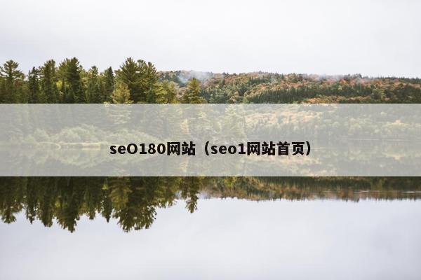seO180网站（seo1网站首页）