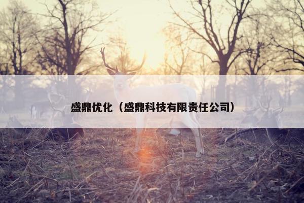 盛鼎优化（盛鼎科技有限责任公司）