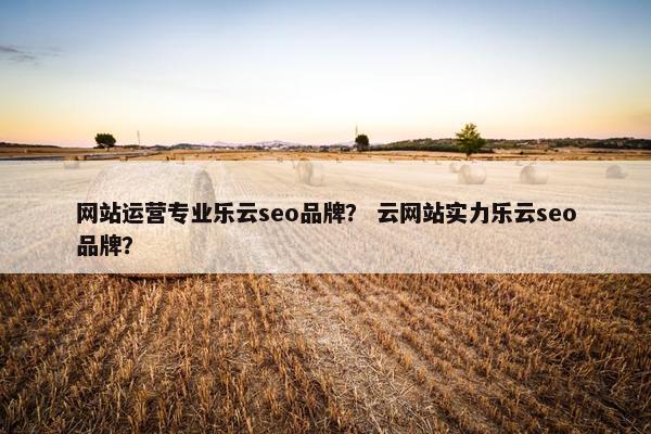 网站运营专业乐云seo品牌？ 云网站实力乐云seo品牌？