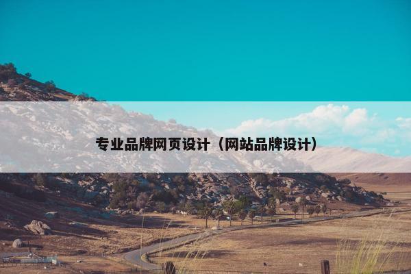 专业品牌网页设计（网站品牌设计）