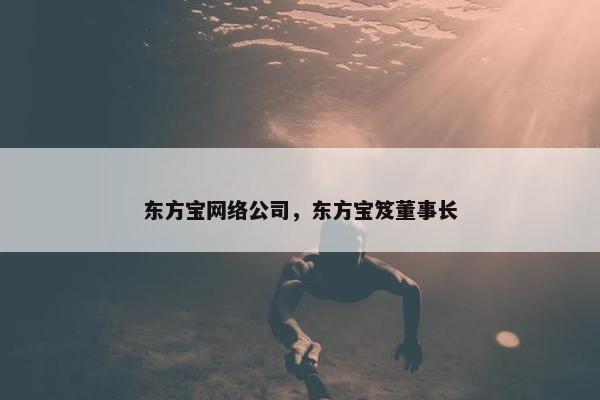 东方宝网络公司，东方宝笈董事长