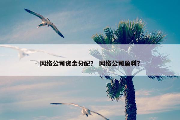 网络公司资金分配？ 网络公司盈利？