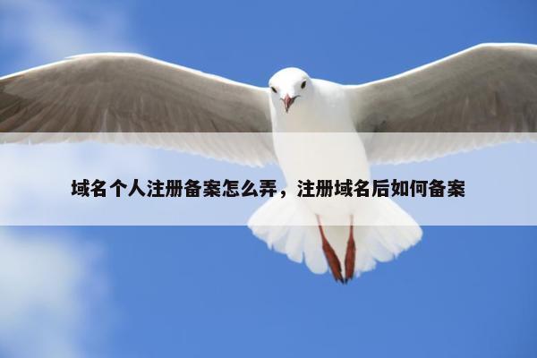 域名个人注册备案怎么弄，注册域名后如何备案