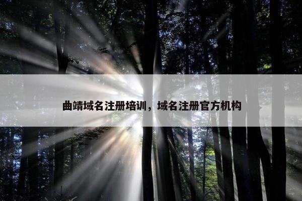曲靖域名注册培训，域名注册官方机构