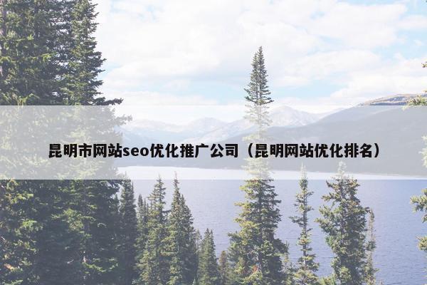 昆明市网站seo优化推广公司（昆明网站优化排名）