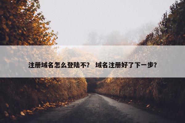注册域名怎么登陆不？ 域名注册好了下一步？