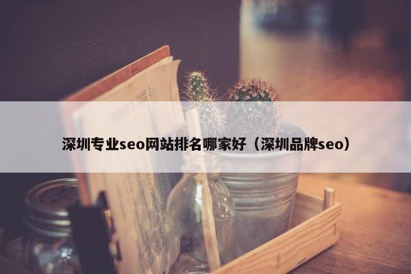 深圳专业seo网站排名哪家好（深圳品牌seo）