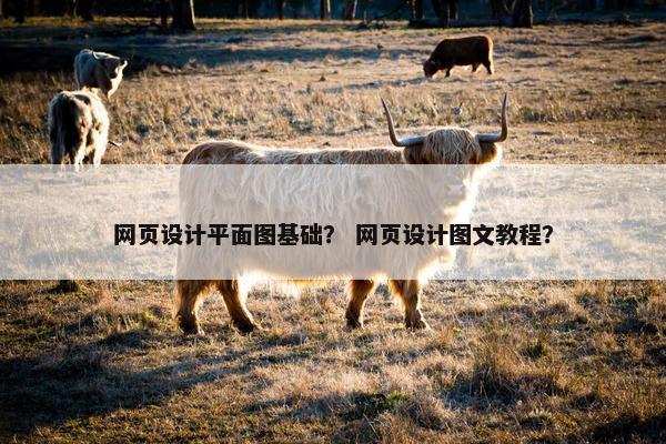 网页设计平面图基础？ 网页设计图文教程？
