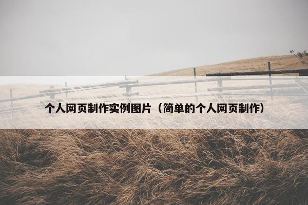 个人网页制作实例图片（简单的个人网页制作）