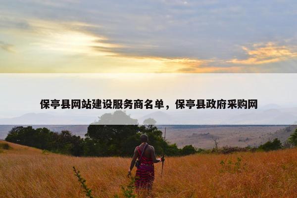 保亭县网站建设服务商名单，保亭县政府采购网