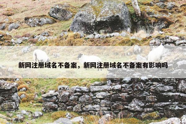 新网注册域名不备案，新网注册域名不备案有影响吗