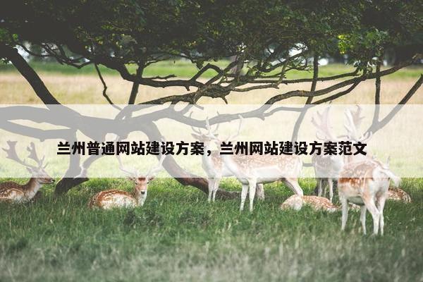 兰州普通网站建设方案，兰州网站建设方案范文