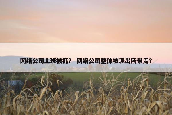 网络公司上班被抓？ 网络公司整体被派出所带走？