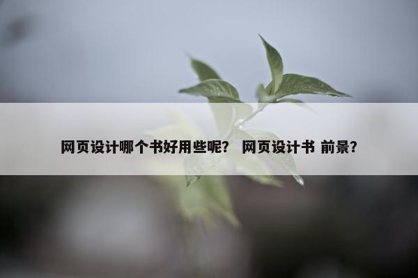 网页设计哪个书好用些呢？ 网页设计书 前景？