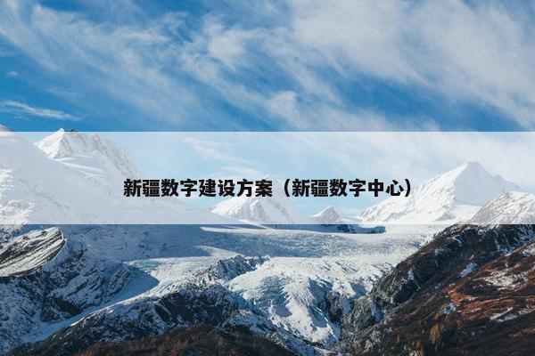 新疆数字建设方案（新疆数字中心）