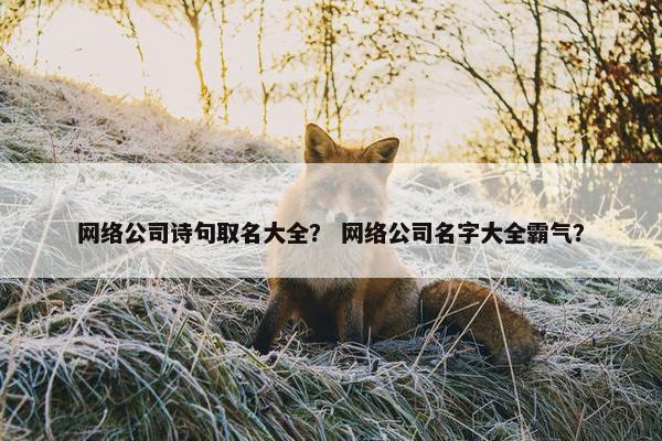 网络公司诗句取名大全？ 网络公司名字大全霸气？