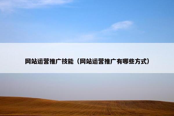 网站运营推广技能（网站运营推广有哪些方式）