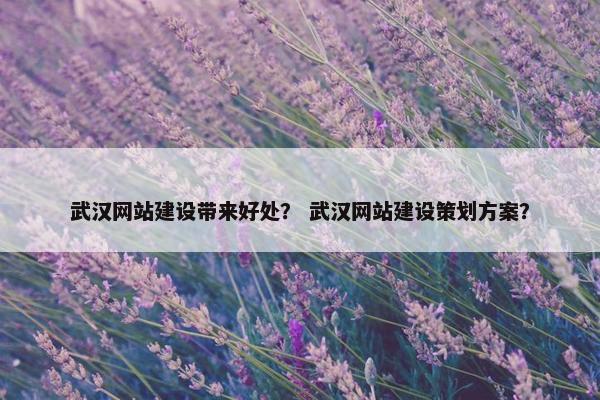 武汉网站建设带来好处？ 武汉网站建设策划方案？