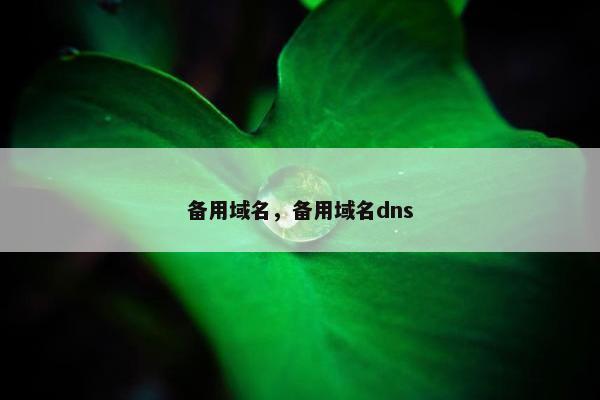 备用域名，备用域名dns
