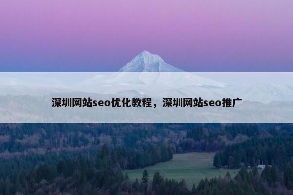 深圳网站seo优化教程，深圳网站seo推广