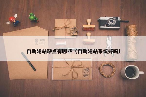 自助建站缺点有哪些（自助建站系统好吗）